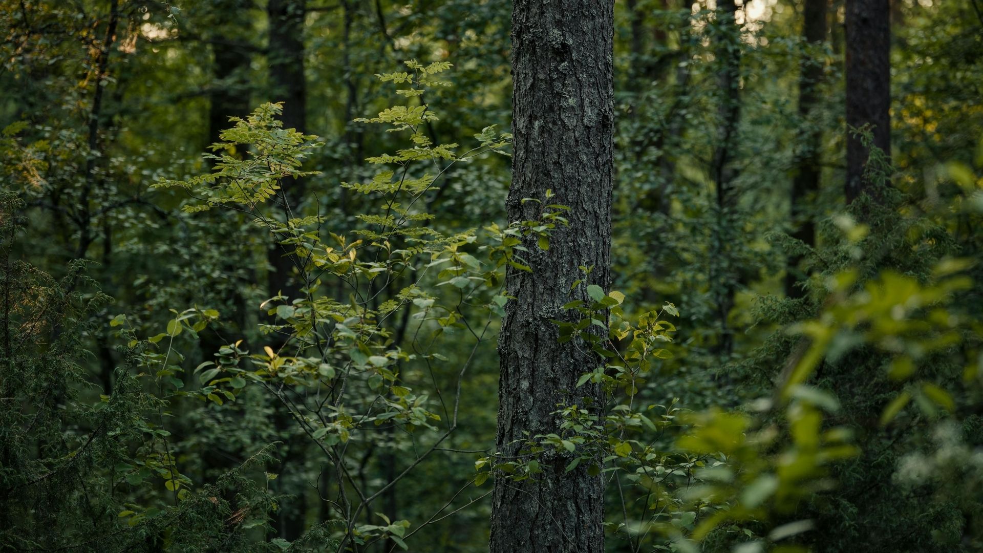 frhpa environnement
