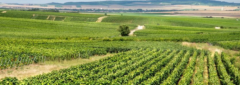 route du champagne